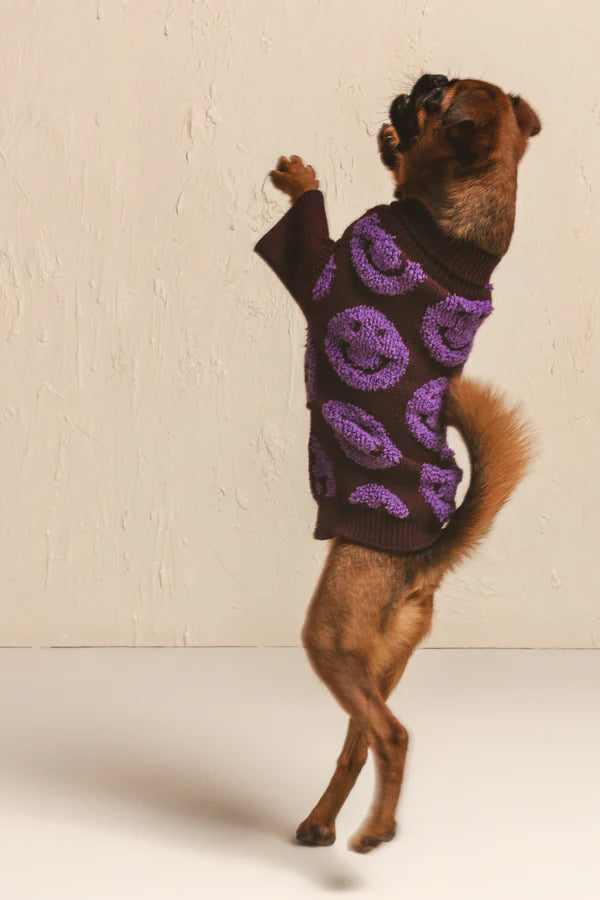 Smile Pet sweater